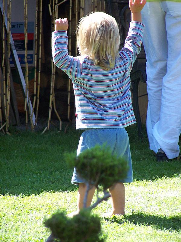 100_8050.JPG